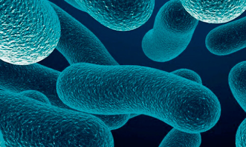 Control y prevencion de Legionella pneumophila